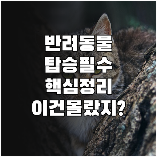 반려동물 대중교통 탑승 전 필수 체크..