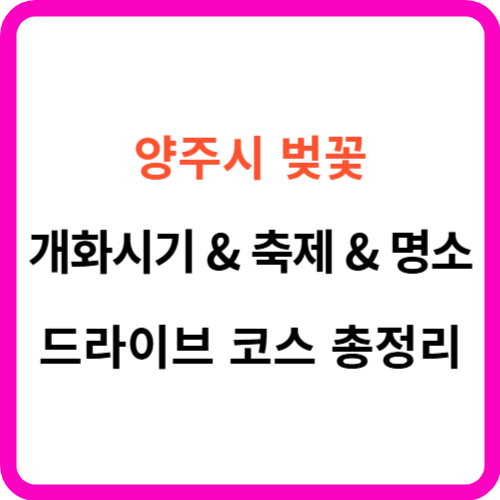양주 벚꽃 개화시기 축제 명소 드라이브 코스 를 한눈에! 썸네일