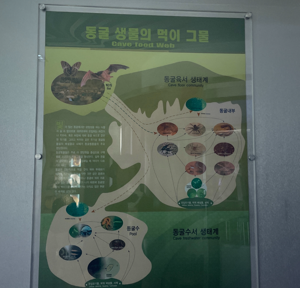천곡동굴