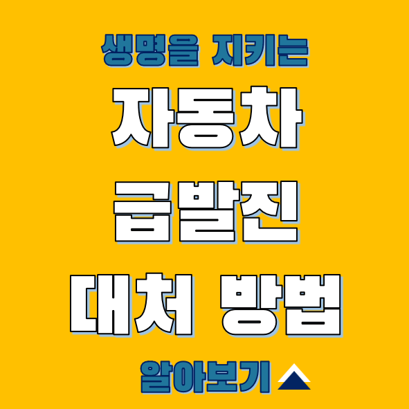 자동차 급발진 대처방법