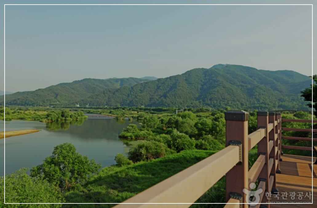 곡성 가볼만한곳 베스트10 섬진강 침실습지