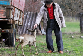 2024년-노인기초연금-수급자격-금액-신청방법