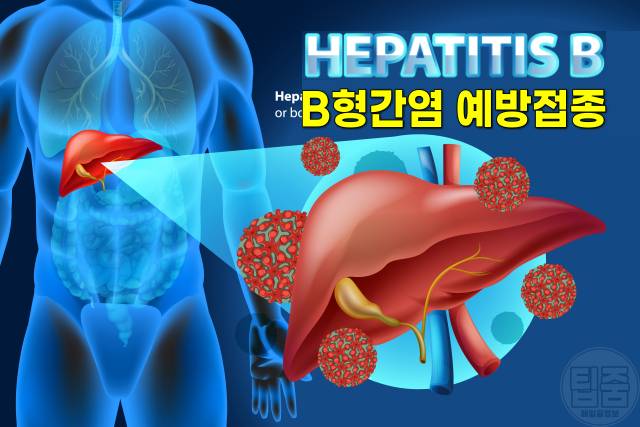B형간염 예방접종 시기 부작용 비용 무료