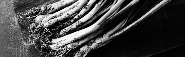 쪽파 보관법: 온도 변화에 민감