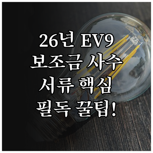 2026년 EV9 전기차 보조금 사수..