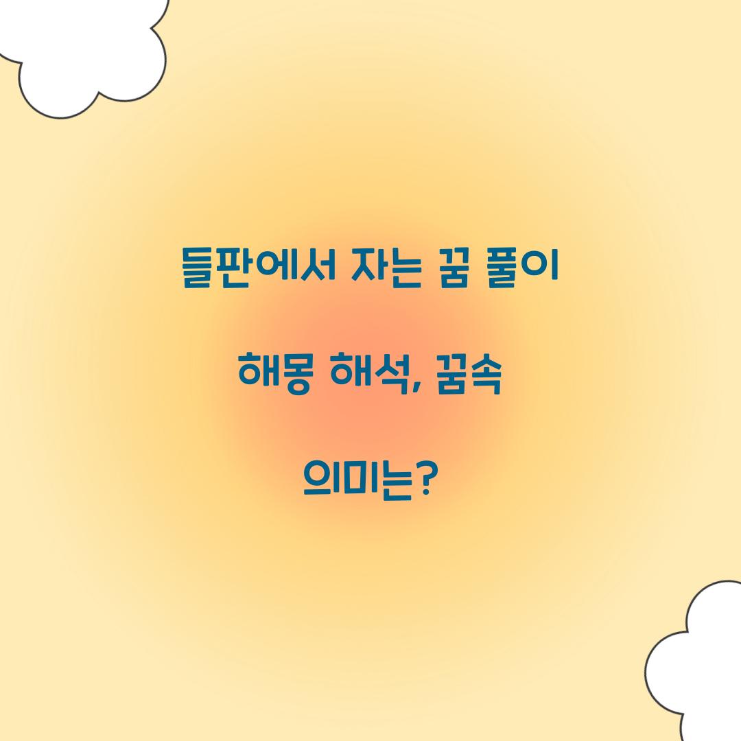 들판에서 자는 꿈 풀이 해몽 해석