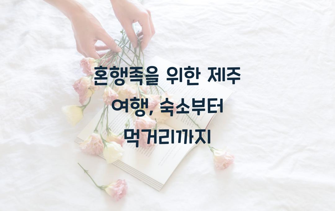 숙소부터 먹거리까지! 혼행족의 제주 여행 가이드