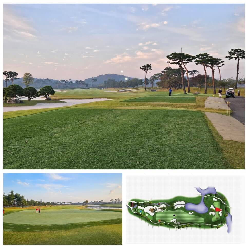 골프장 경험담 당진 파인스톤cc 대형 멋진 정원에서 환상의 골프 운동