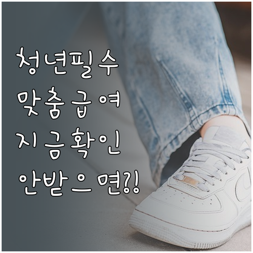 청년 전용 복지 서비스 맞춤형 급여 ..