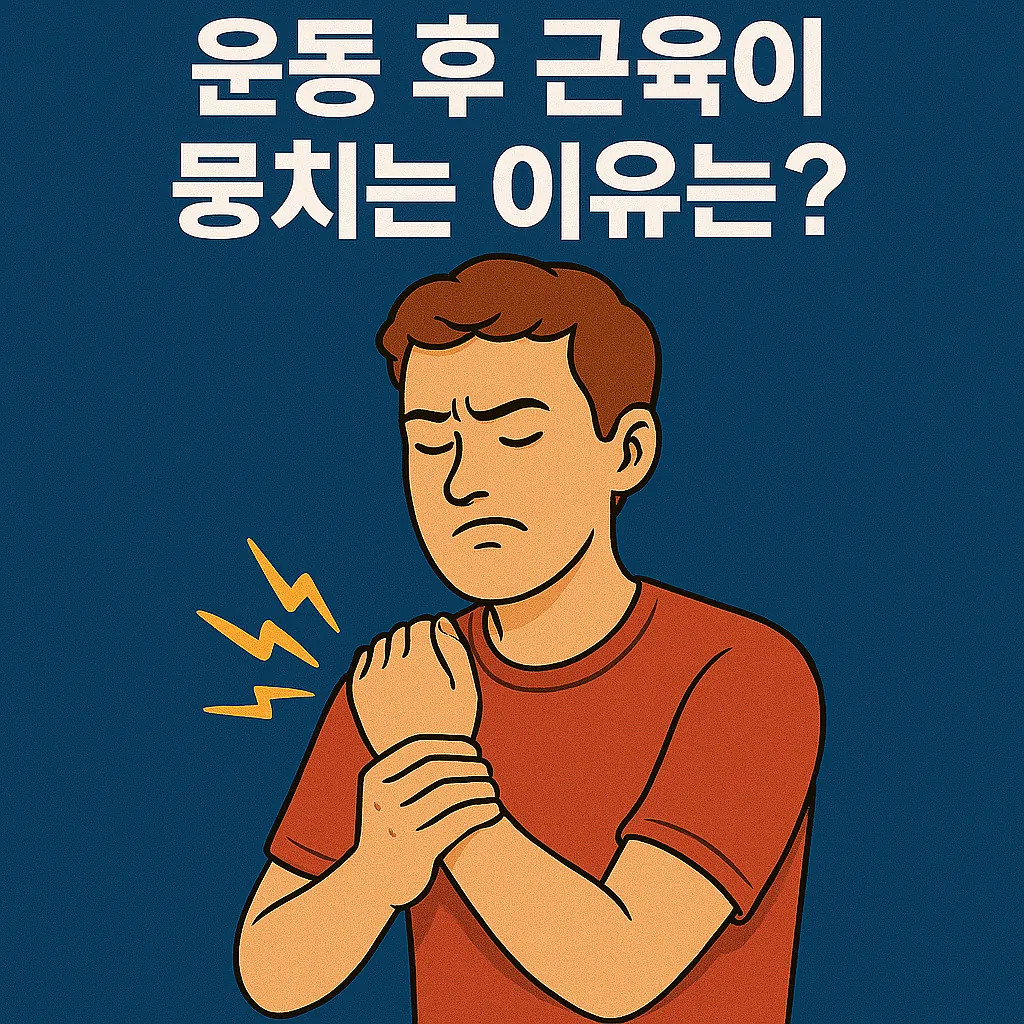 why_do_muscles_tighten_after_exercise