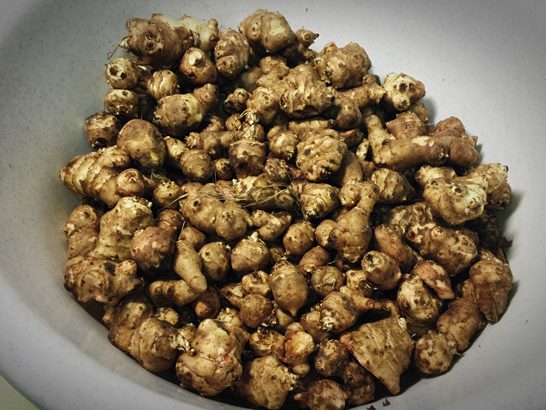 당뇨병에 좋은 음식_돼지가맞