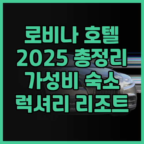 발리 로비나 호텔 후기 모음 2025..