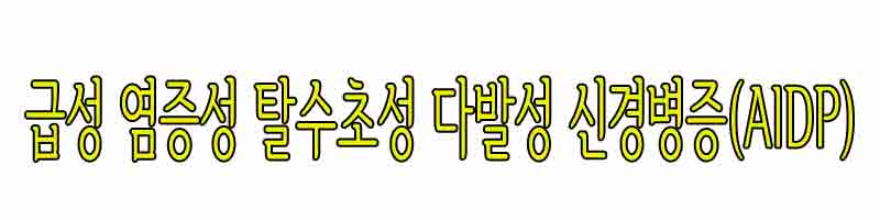 급성 염증성 탈수초성 다발성 신경병증(AIDP)