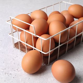 홈플러스 홈플런 전단 행사 쿠폰 혜택 총정리