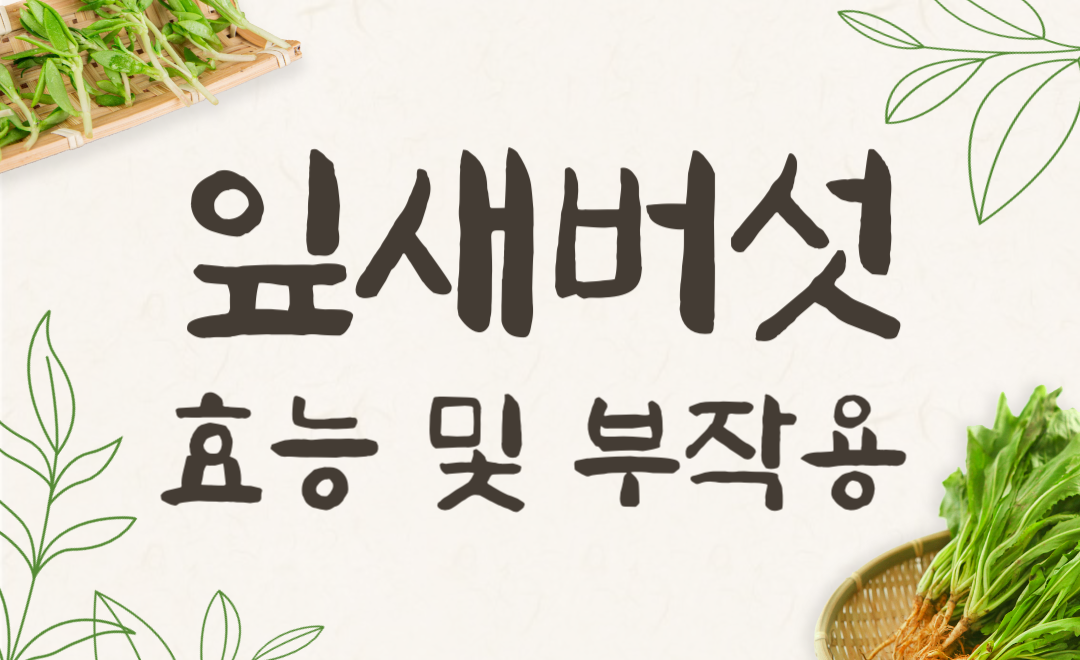 잎새버섯 효능과 부작용, 먹는 방법으로 건강 챙기기