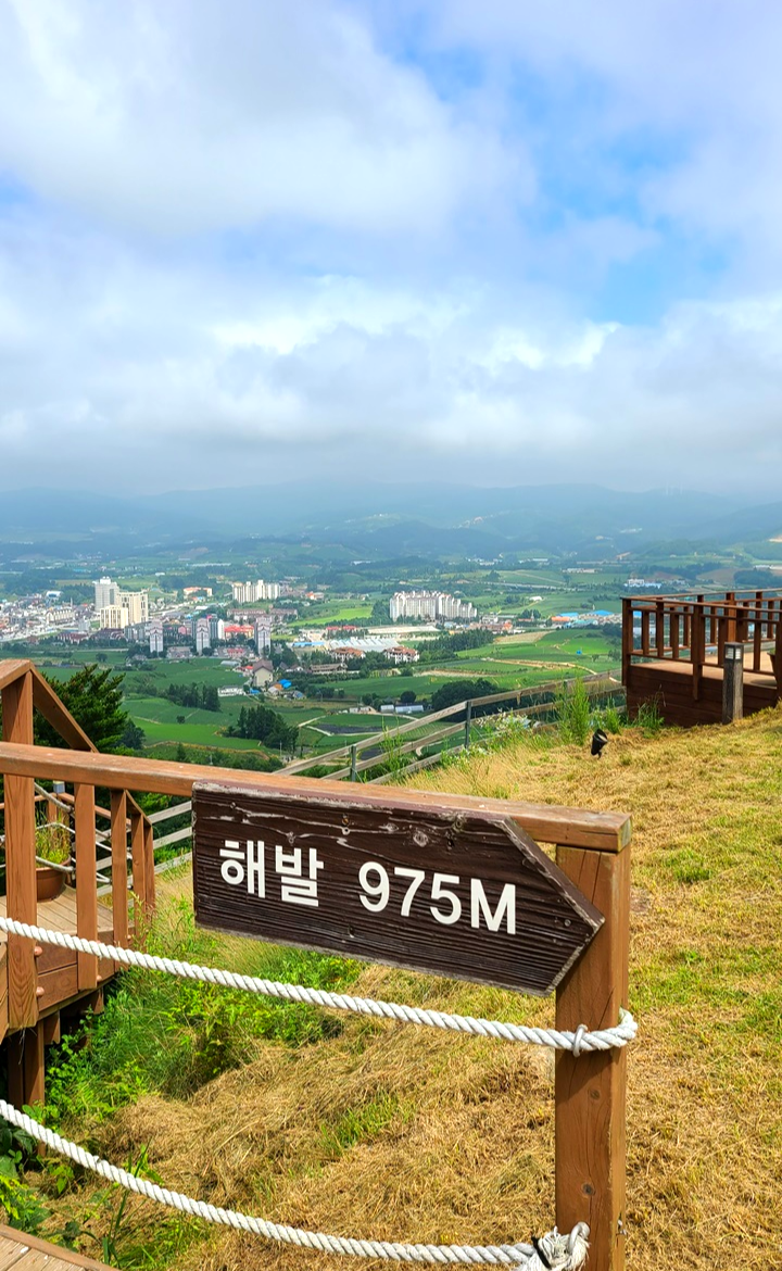 대관령-순수양떼목장-하늘전망대