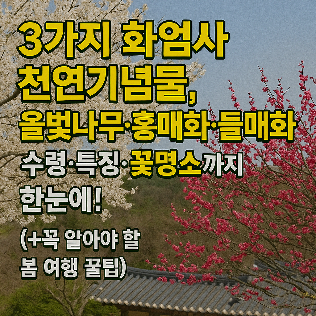 화엄사 천연기념물