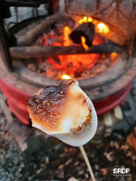 미사장-하남-미사-카페-숲속-카페-캠핑-불멍-카페-마쉬멜로우