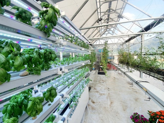 스마트농업 기술발전과 미래