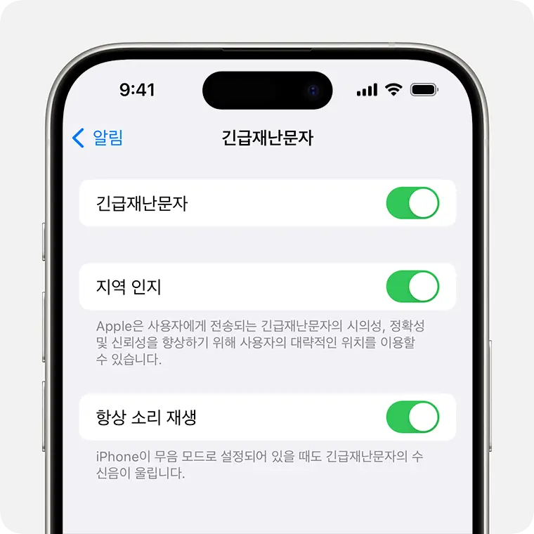 미국에서 지역 인지 기능 켜기