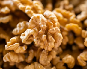 알부민 많은 음식