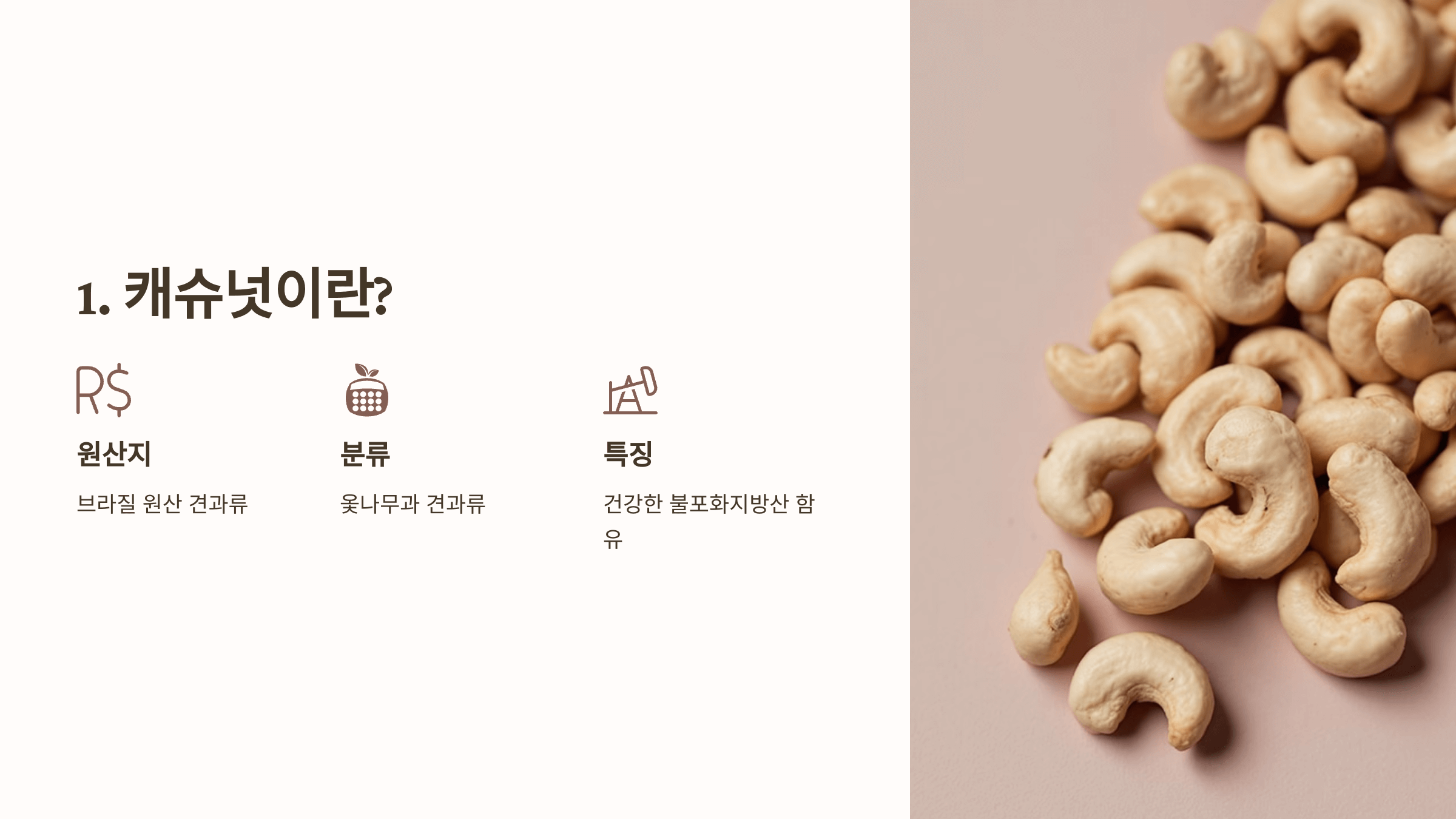 캐슈넛 사진입니다.