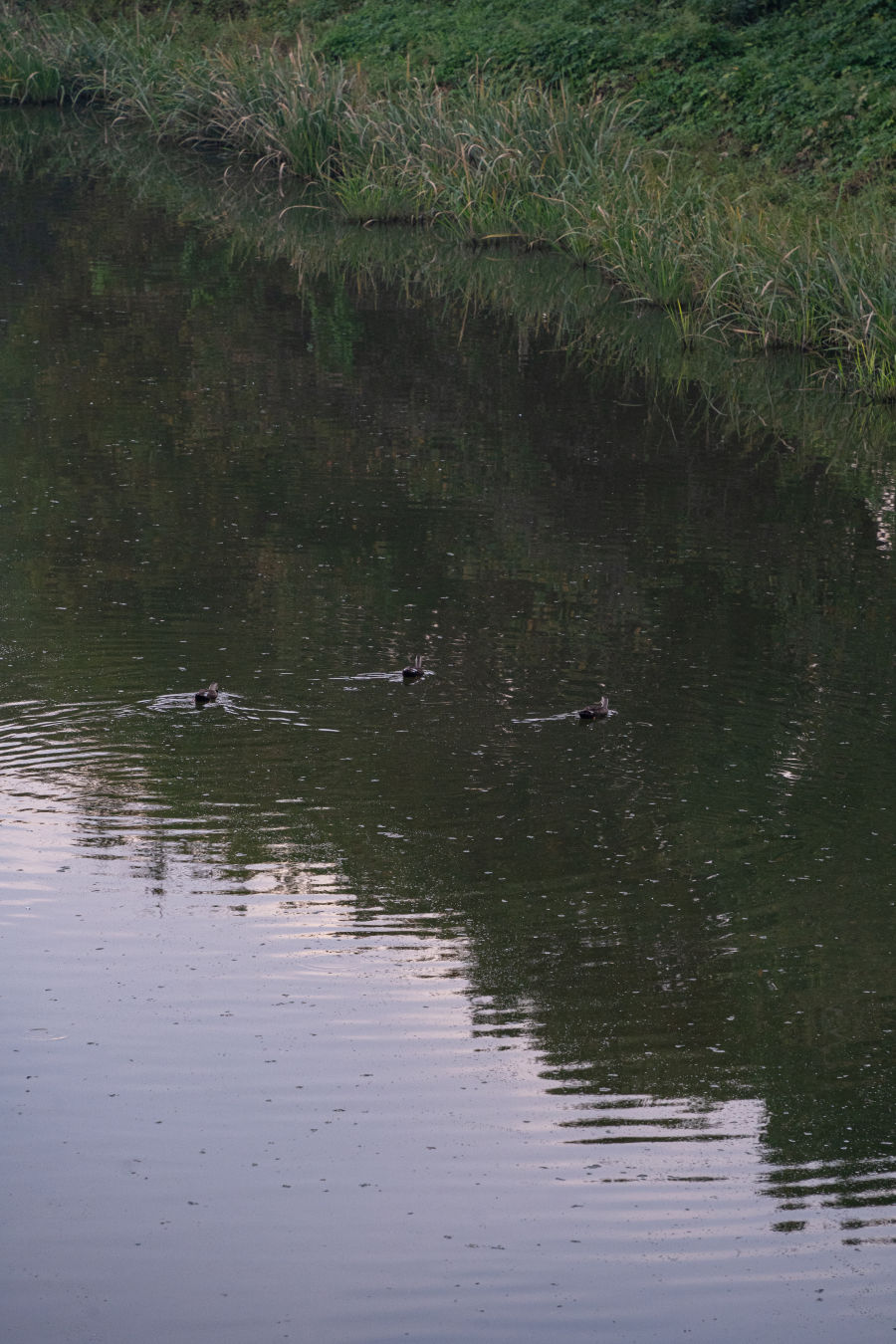 수인선 하늘숲길 산책로