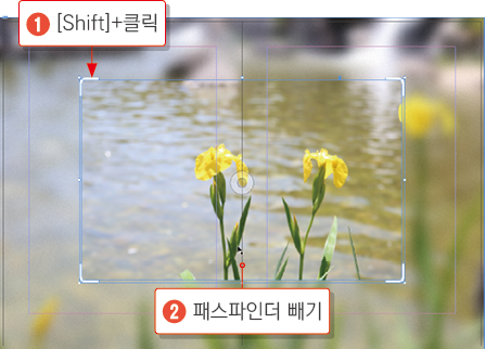 카메라 포커스23