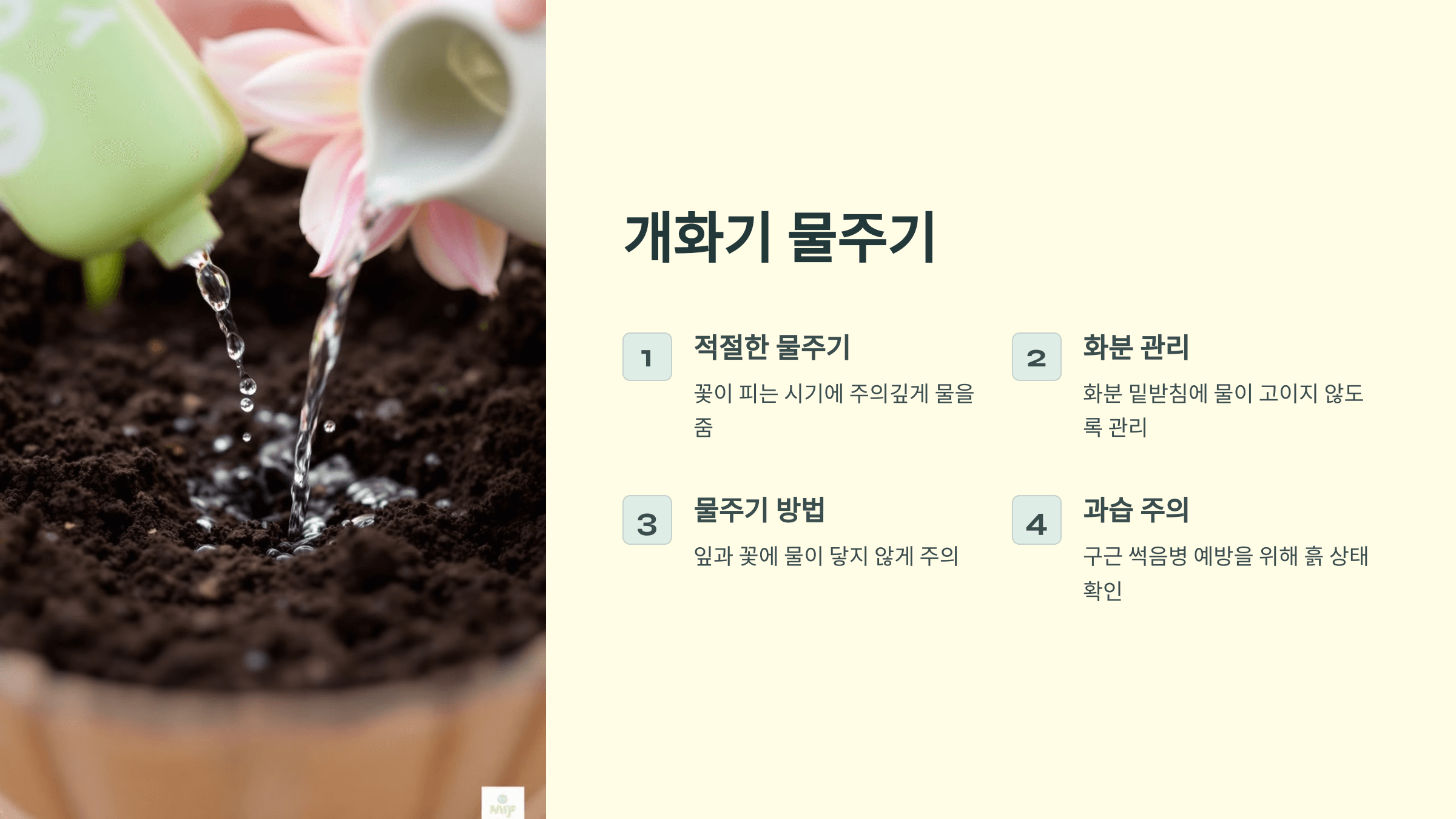 다알리아꽃 사진입니다.