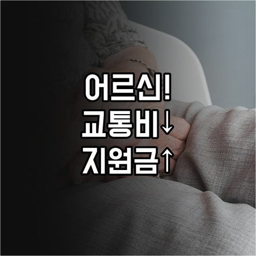어르신 교통비 할인부터 생활지원금까지..