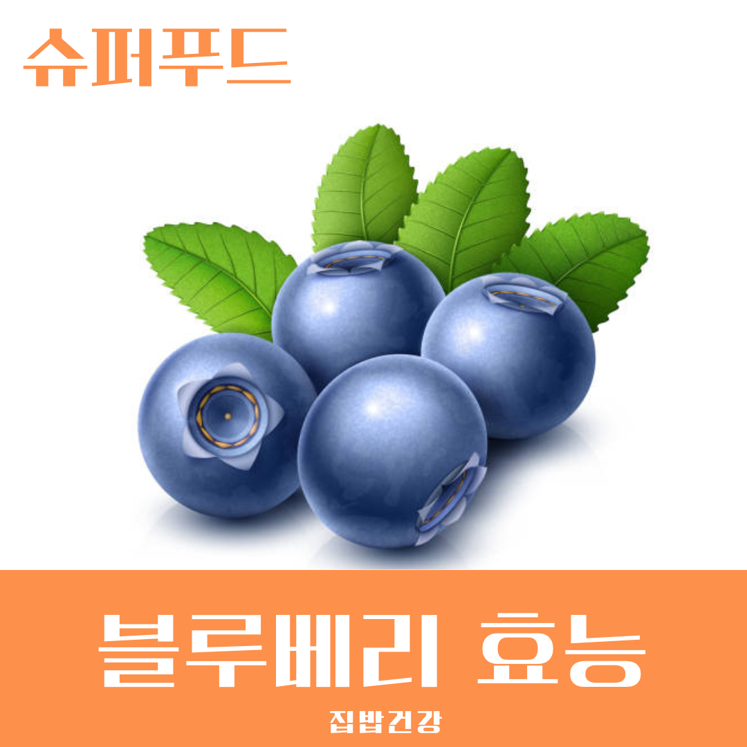 블루베리 효능 1