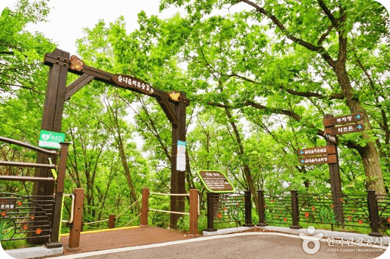 국립제천 치유의숲