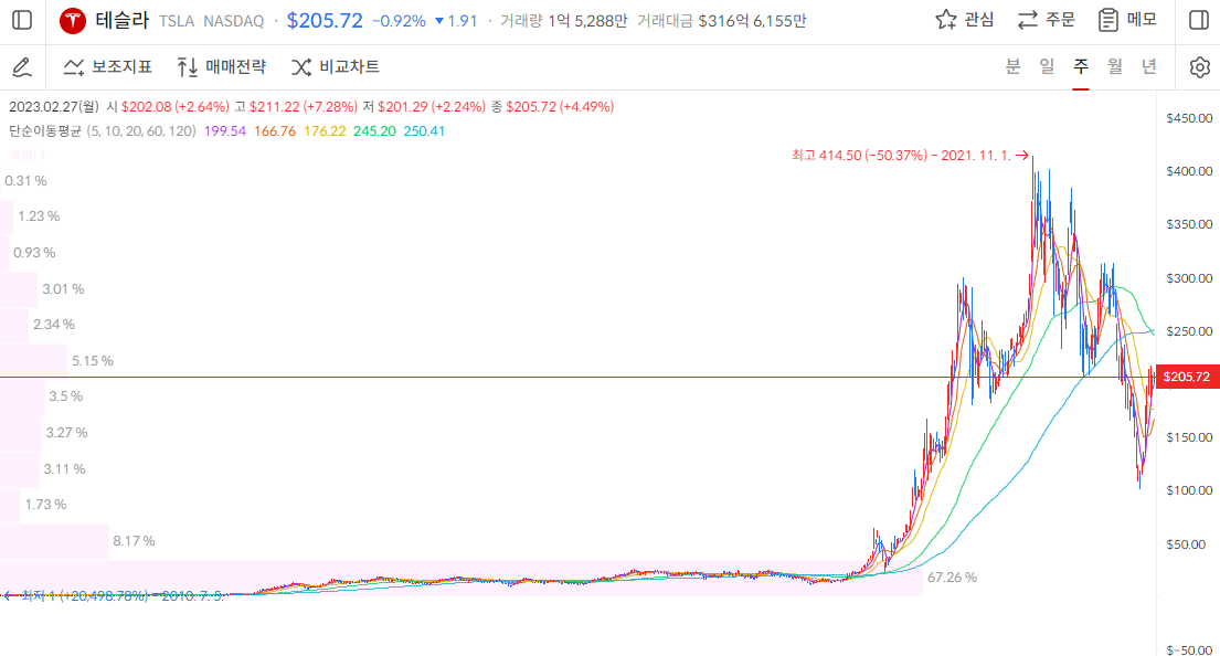 테슬라 주가-주봉