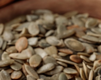 병아리콩 효능 부작용