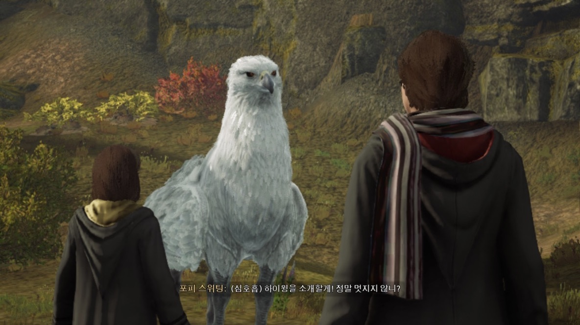 호그와트레거시 히포그리프