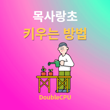 목사랑초 키우기 물주기