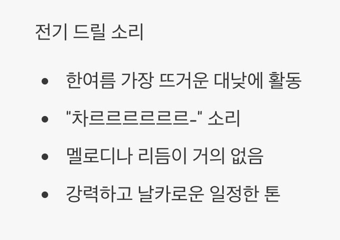 2. 한낮의 폭군, 말매미 (전기 드릴 소리)