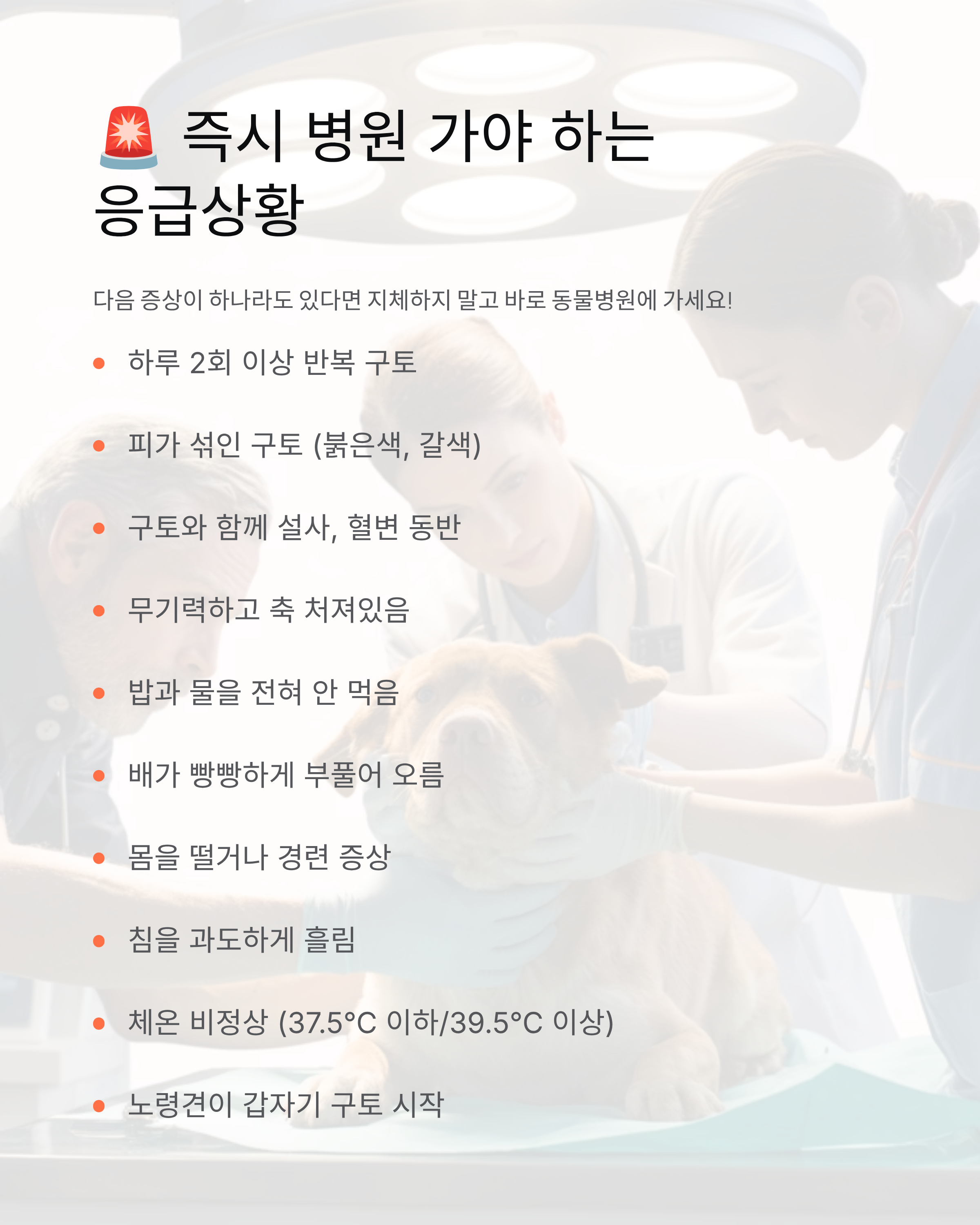 강아지 구토 🐕 색깔만 봐도 알 수 있는 응급상황 완벽 가이드