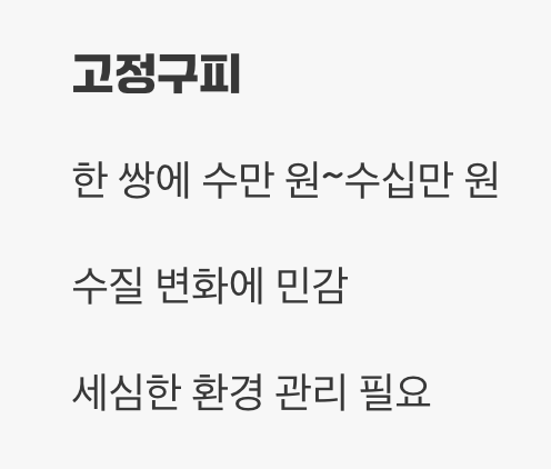 '가격'과 '관리 난이도'의 현실적인 차이