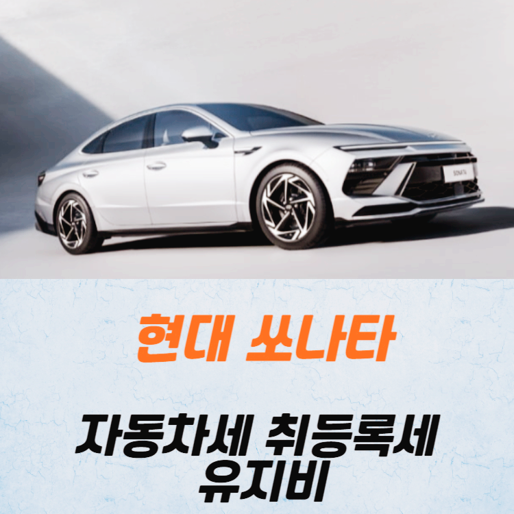 쏘나타 취등록세 자동차세 유지비