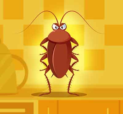 바퀴벌레 한마리