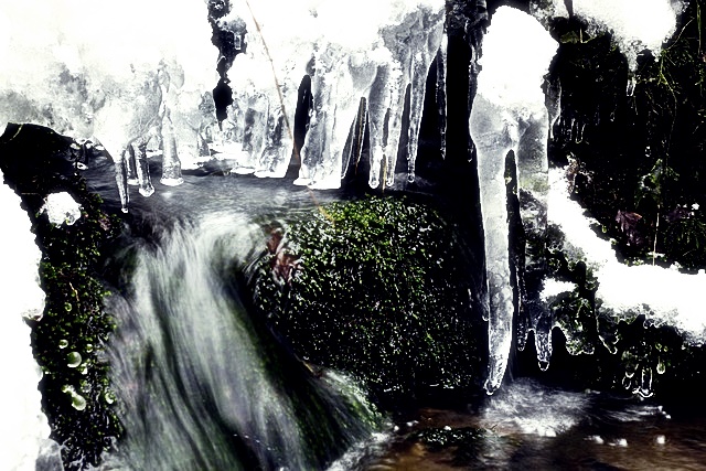 카카오 주가분석