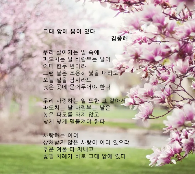 그리움 관련 시 모음 100선_2