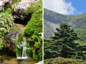 2025 한라산 백록샘 첫 개방! 선착순 100명