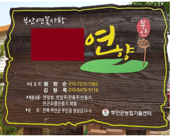 부안-연잎-연잎밥