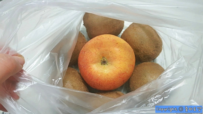 사과-키위-같이-넣기