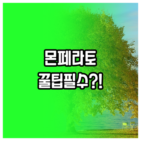 몬페라토 와인 투어 필수 숙소별 조식..