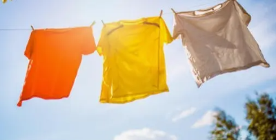 빈대 예방 및 퇴치