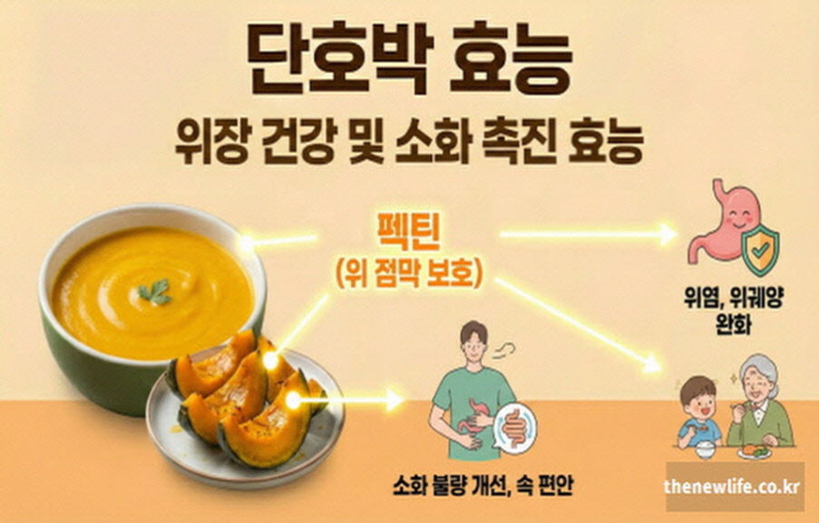 단호박 펙틴 성분의 위 점막 보호 작용을 통한 위장 건강 소화 촉진 및 위염 위궤양 완화 효능 요약