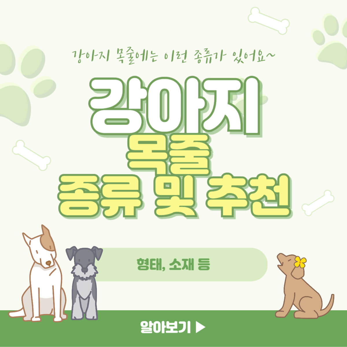강아지 반려견 목줄 종류 특징 추천